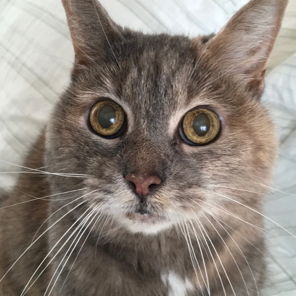 Meet your Posher, Deborah